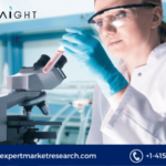 Medical Biomimetics Market: A Deep Dive into Trends, Growth, and Key Industry Players