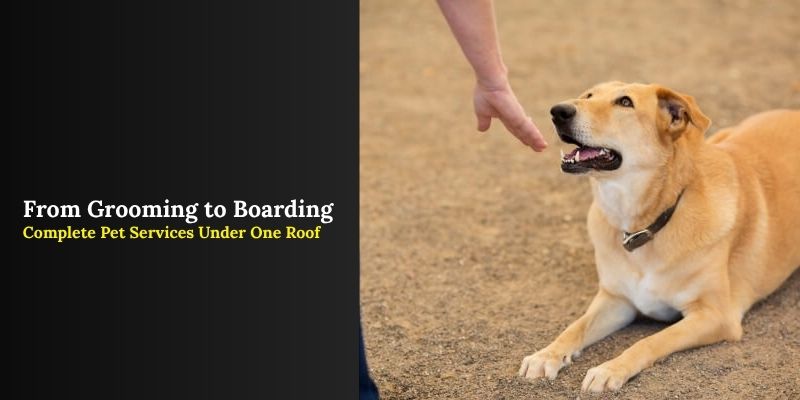 Pet Services by Jebel k9 based in oman