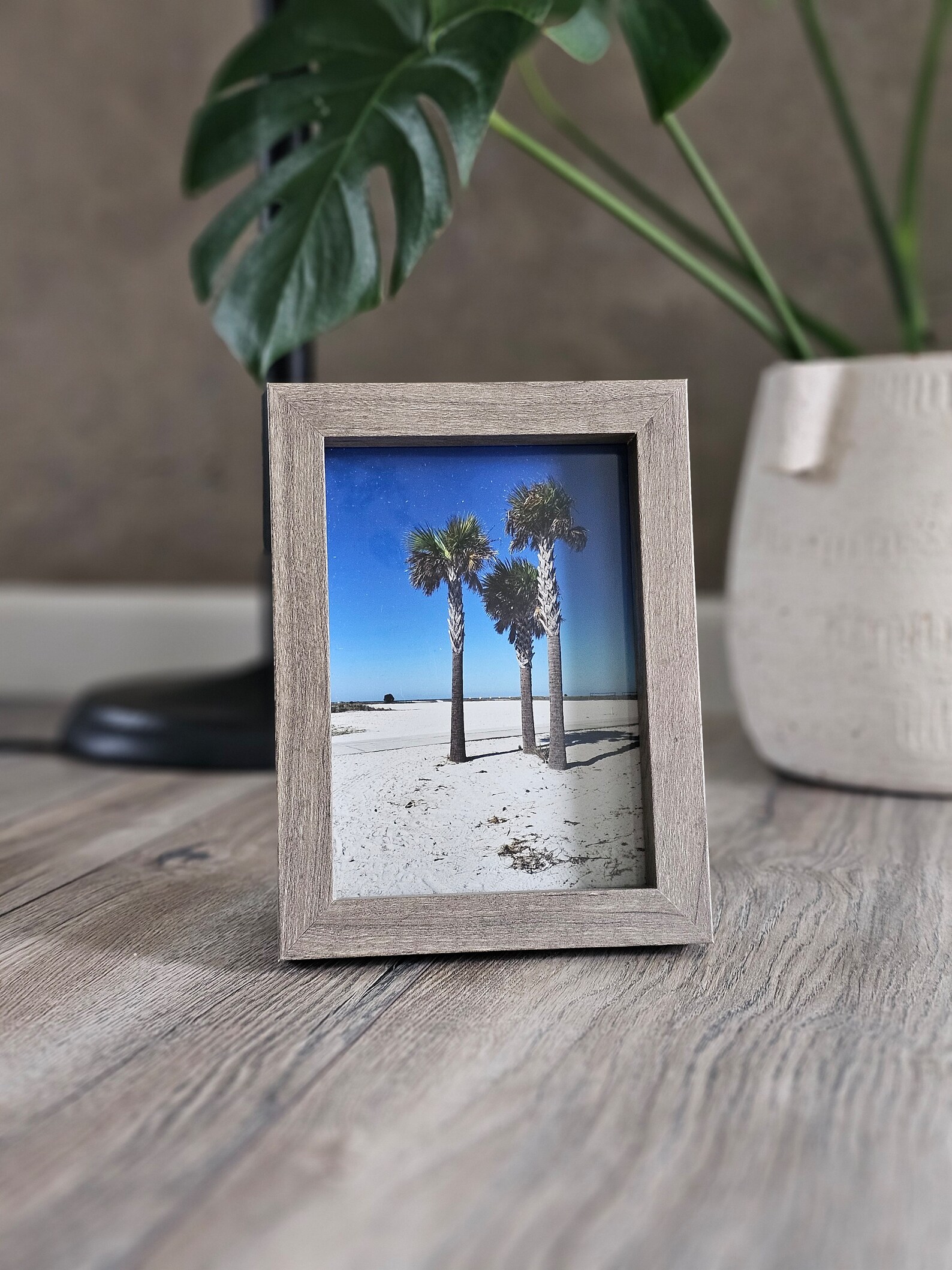 Palm tree framed image for decoration purpose