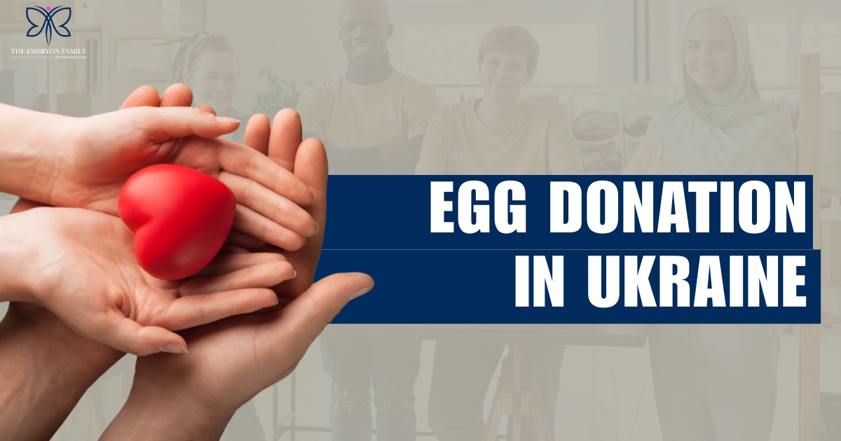 Egg Donation Ukraine i