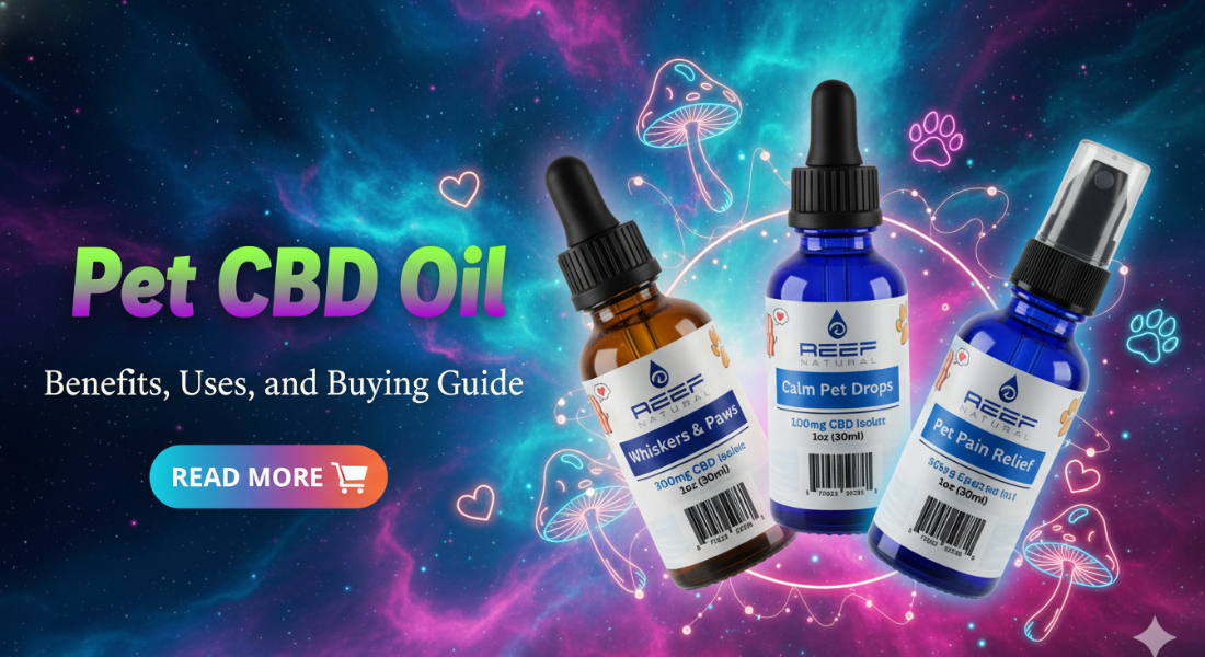 pet cbd oil