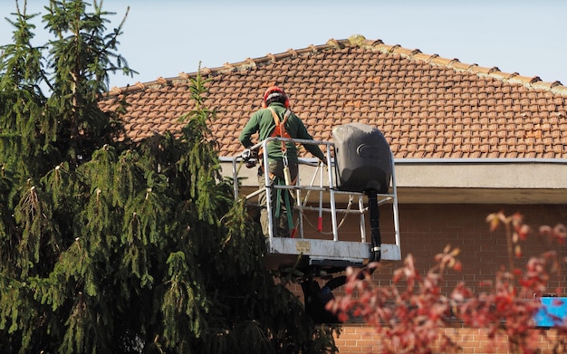roof cleaning