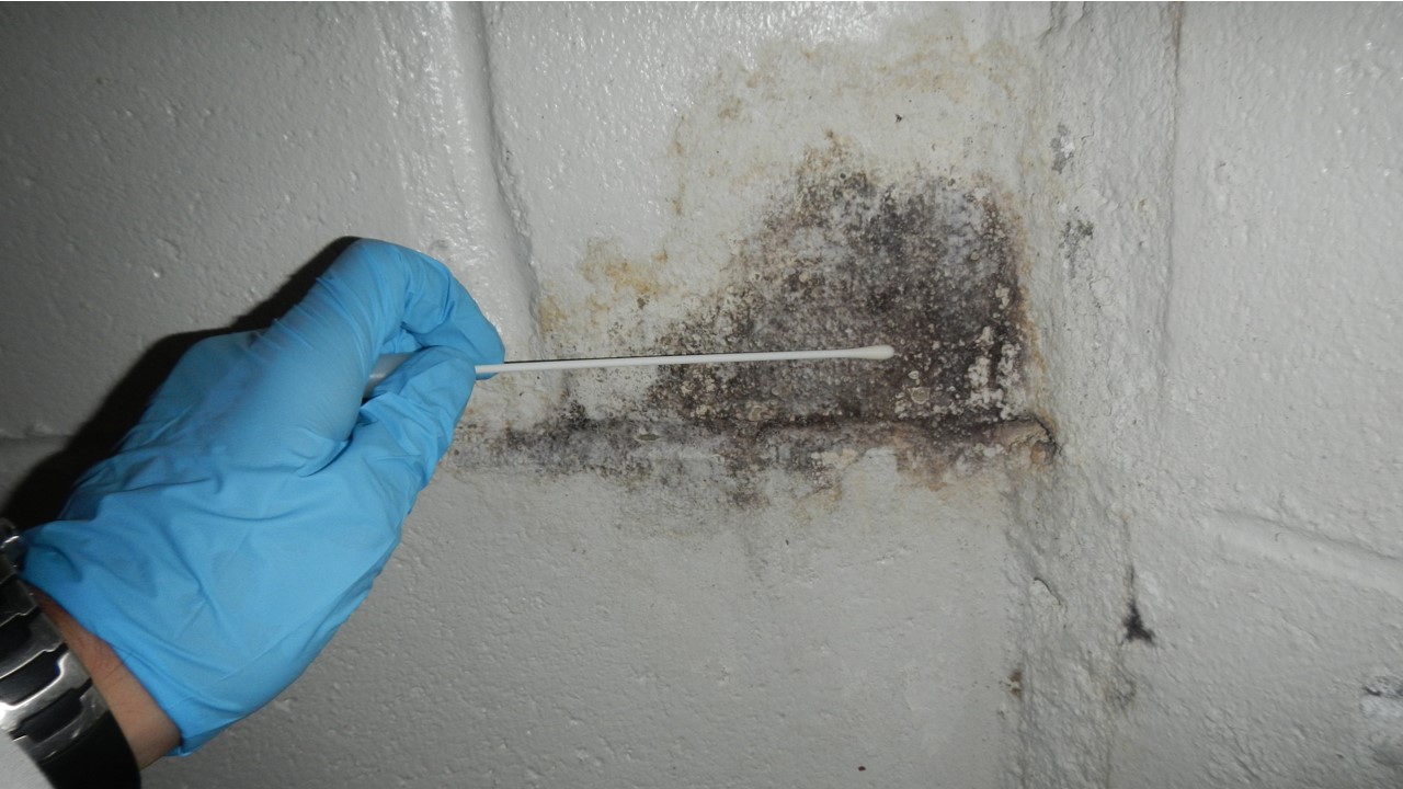Mold Testing Nassau County NY, Certified Home Inspection Nassau County NY