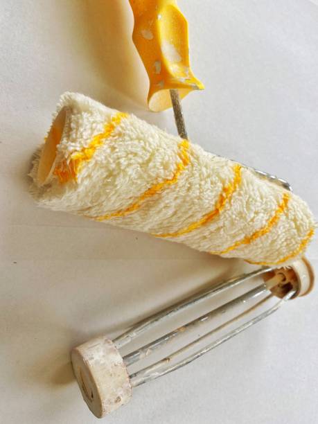 paint roller refill 9 inch